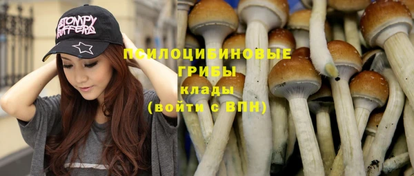 эйфоретик Абаза